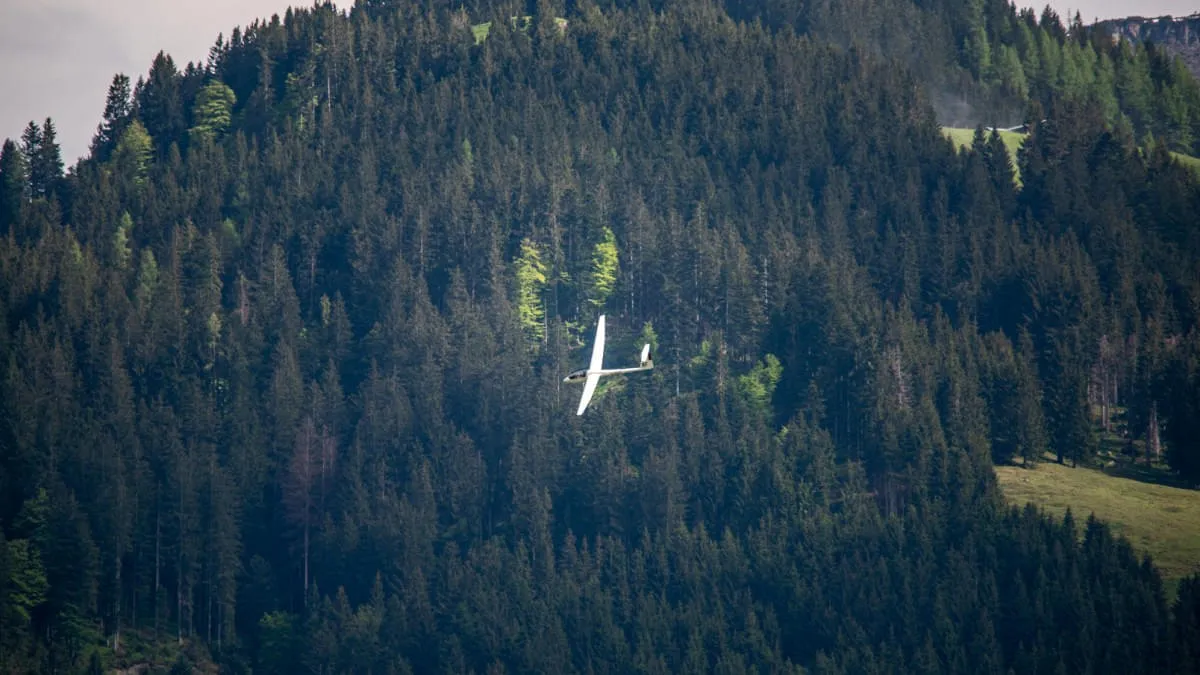 8F-Ldg_Wald(1)
